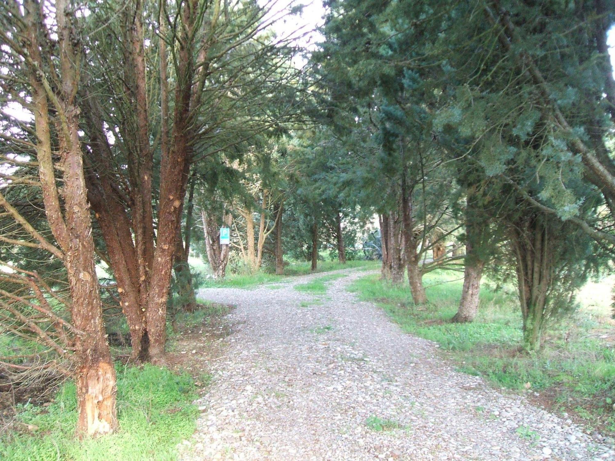 Casetta Francini Civitella Marittima Exterior foto
